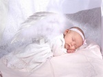 bébé
